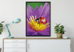 Marienkäfer auf Blume auf Leinwandbild gerahmt verschiedene Größen im Wohnzimmer