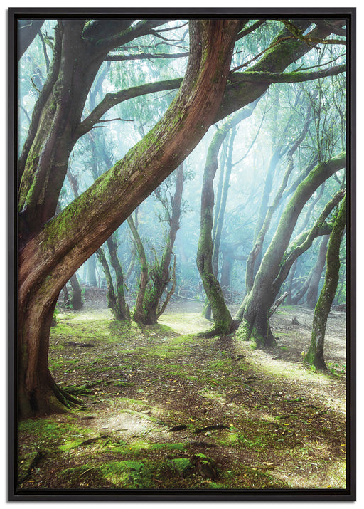 Wald auf Leinwandbild gerahmt Größe 100x70