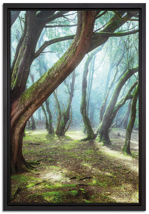 Wald auf Leinwandbild gerahmt Größe 60x40