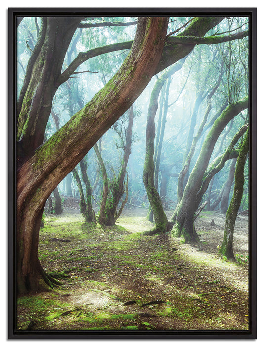 Wald auf Leinwandbild gerahmt Größe 80x60