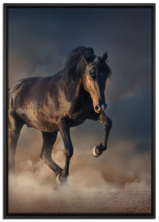 Schwarzes Pferd auf Leinwandbild gerahmt Größe 100x70