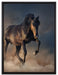 Schwarzes Pferd auf Leinwandbild gerahmt Größe 80x60