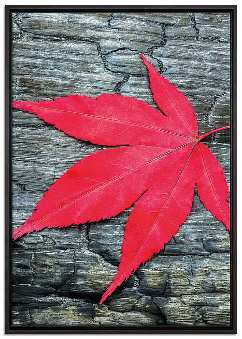Blatt auf Holz Natur auf Leinwandbild gerahmt Größe 100x70