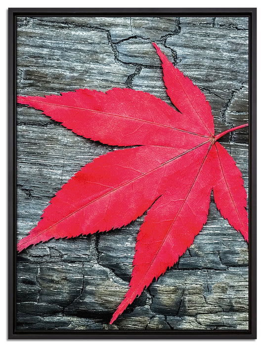 Blatt auf Holz Natur auf Leinwandbild gerahmt Größe 80x60