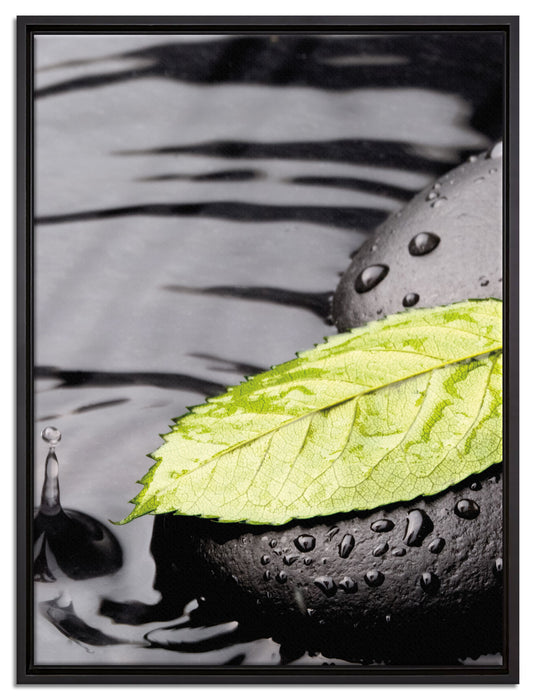 Stein mit Blatt auf Leinwandbild gerahmt Größe 80x60