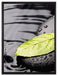 Stein mit Blatt auf Leinwandbild gerahmt Größe 80x60