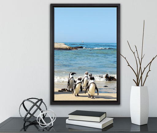 Pinguine am Strand auf Leinwandbild gerahmt mit Kirschblüten