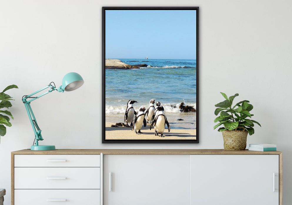 Pinguine am Strand auf Leinwandbild gerahmt verschiedene Größen im Wohnzimmer