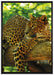 Leopard auf Ast auf Leinwandbild gerahmt Größe 100x70