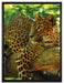 Leopard auf Ast auf Leinwandbild gerahmt Größe 80x60