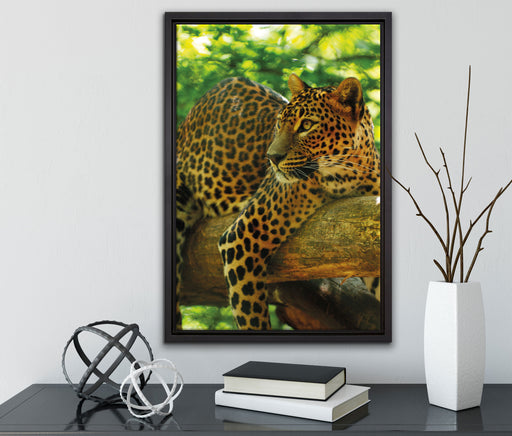 Leopard auf Ast auf Leinwandbild gerahmt mit Kirschblüten