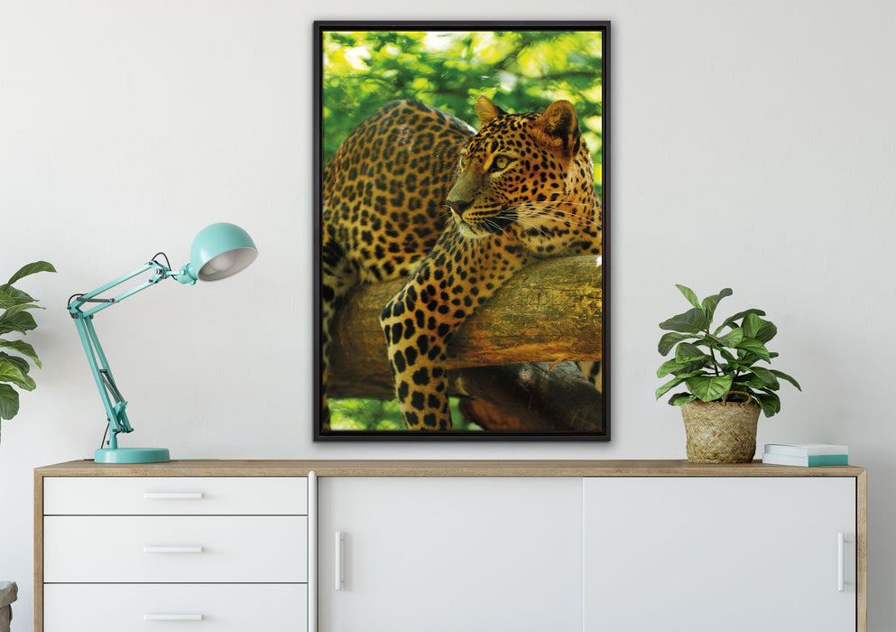 Leopard auf Ast auf Leinwandbild gerahmt verschiedene Größen im Wohnzimmer