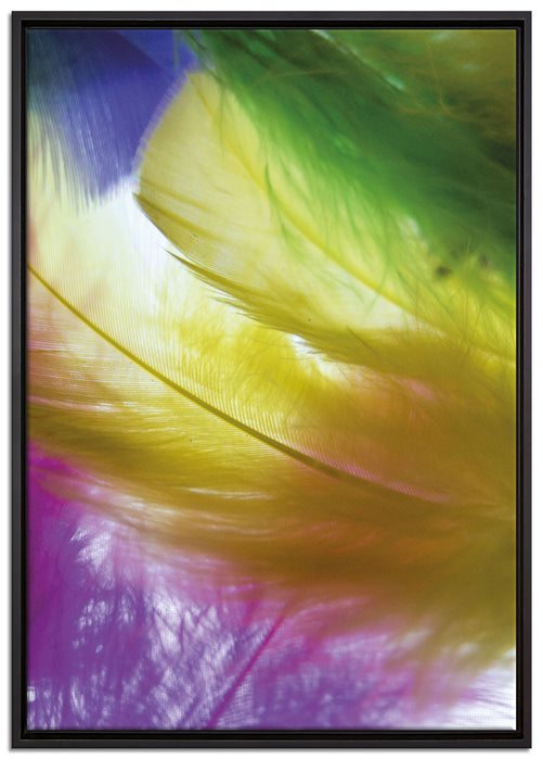 Bunte Federn auf Leinwandbild gerahmt Größe 100x70