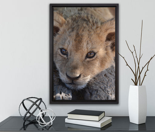 Süßes Tigerbaby auf Leinwandbild gerahmt mit Kirschblüten