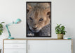 Süßes Tigerbaby auf Leinwandbild gerahmt verschiedene Größen im Wohnzimmer