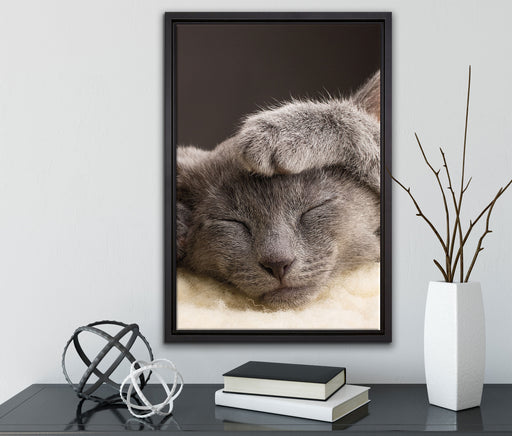 Süßes Kätzchen auf Leinwandbild gerahmt mit Kirschblüten