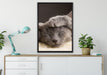 Süßes Kätzchen auf Leinwandbild gerahmt verschiedene Größen im Wohnzimmer