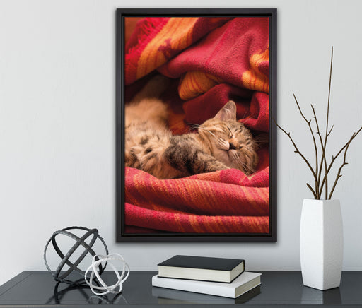 Babykatze auf Leinwandbild gerahmt mit Kirschblüten