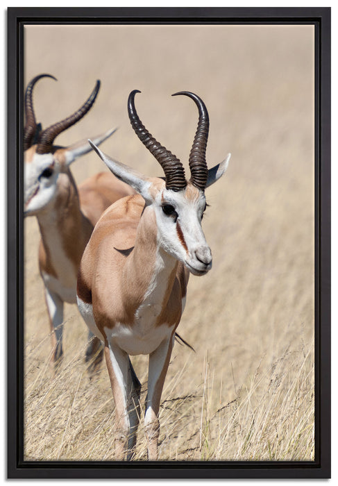 Tiere in Savanne Rehe Afrika auf Leinwandbild gerahmt Größe 60x40