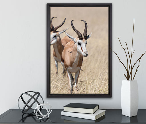 Tiere in Savanne Rehe Afrika auf Leinwandbild gerahmt mit Kirschblüten