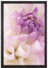 Traumhafte lila weiße Blüte auf Leinwandbild gerahmt Größe 60x40