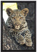 Leopardenbaby auf Leinwandbild gerahmt Größe 60x40
