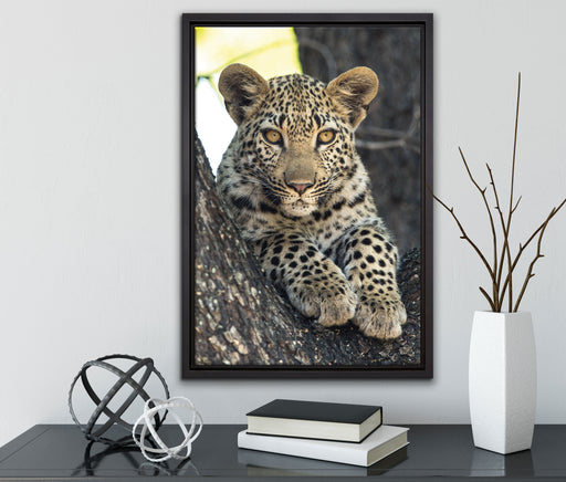 Leopardenbaby auf Leinwandbild gerahmt mit Kirschblüten