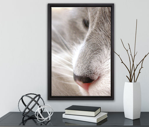 Katze mit blauen Augen auf Leinwandbild gerahmt mit Kirschblüten