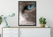 Katze mit blauen Augen auf Leinwandbild gerahmt verschiedene Größen im Wohnzimmer