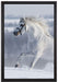 Weißes Pferd auf Schneewiese auf Leinwandbild gerahmt Größe 60x40