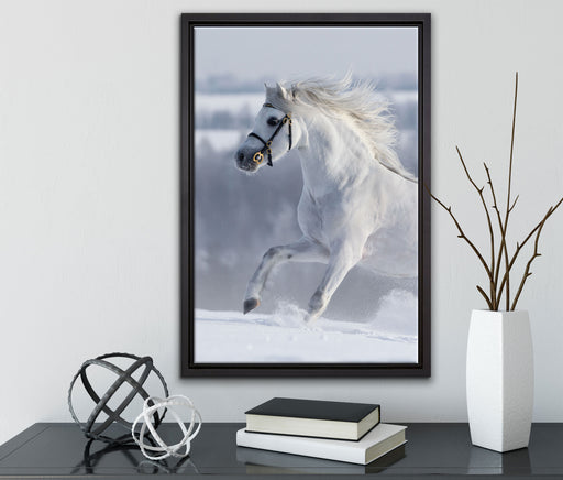 Weißes Pferd auf Schneewiese auf Leinwandbild gerahmt mit Kirschblüten