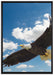Adler fliegt über Berge auf Leinwandbild gerahmt Größe 100x70