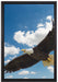 Adler fliegt über Berge auf Leinwandbild gerahmt Größe 60x40
