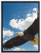 Adler fliegt über Berge auf Leinwandbild gerahmt Größe 80x60