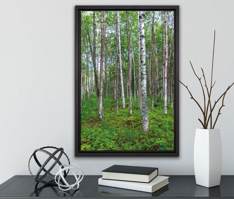 Birkenwald auf Leinwandbild gerahmt mit Kirschblüten