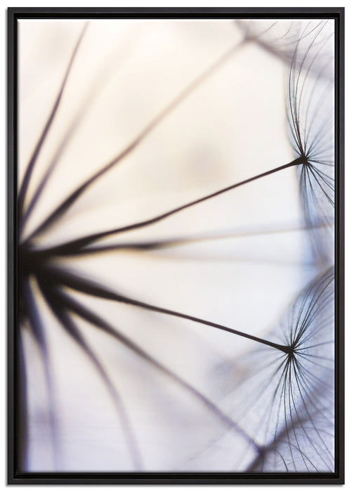 Weiße Pusteblumen auf Leinwandbild gerahmt Größe 100x70