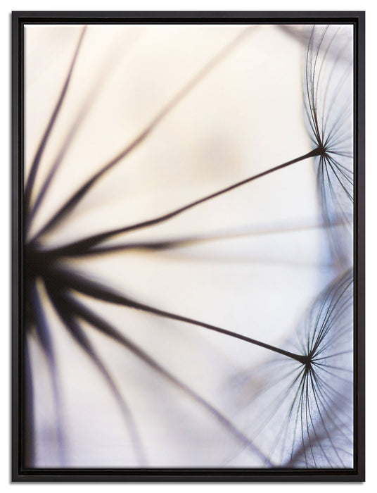 Weiße Pusteblumen auf Leinwandbild gerahmt Größe 80x60