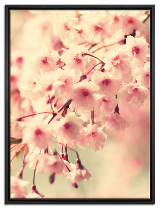 Kirschblüten auf Leinwandbild gerahmt Größe 80x60