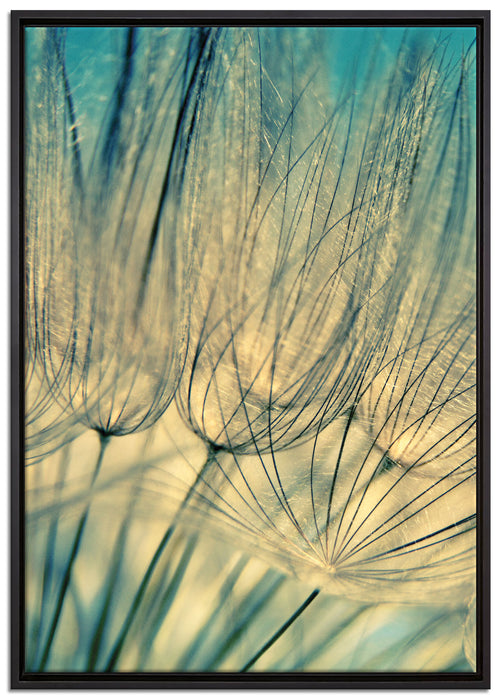 Pusteblumen auf Leinwandbild gerahmt Größe 100x70