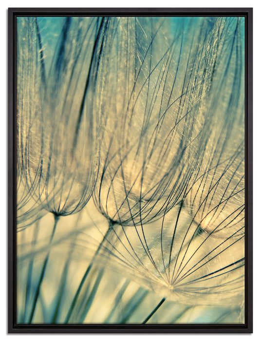 Pusteblumen auf Leinwandbild gerahmt Größe 80x60