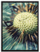Pusteblume auf Leinwandbild gerahmt Größe 80x60