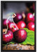 Kirschen auf Leinwandbild gerahmt Größe 60x40