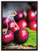 Kirschen auf Leinwandbild gerahmt Größe 80x60