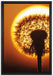 Pusteblume abends auf Leinwandbild gerahmt Größe 60x40