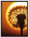 Pusteblume abends auf Leinwandbild gerahmt Größe 80x60