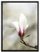 Weiße Baumblüten auf Leinwandbild gerahmt Größe 80x60