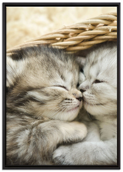 Baby Katze auf Leinwandbild gerahmt Größe 100x70