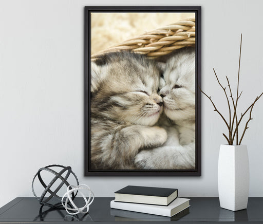 Baby Katze auf Leinwandbild gerahmt mit Kirschblüten