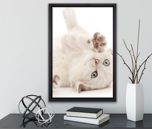 Kleine Katze auf Leinwandbild gerahmt mit Kirschblüten