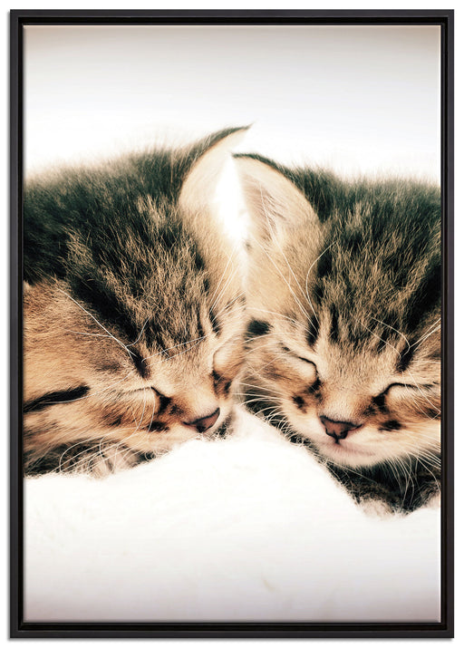 Katzen Herzform auf Leinwandbild gerahmt Größe 100x70